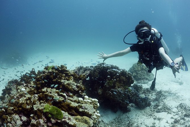 Scuba Diving in Phuket – Full-Day Trip (3 Dives, All Included) - What could be annoying (so you’re not surprised)