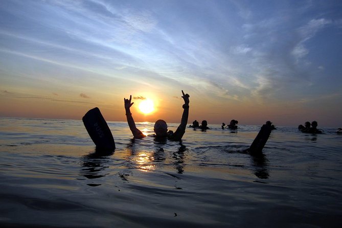 Scuba Diving Kata Beach Night Dive for Certified Divers - Meeting point and start time: plan your evening around 6:00 pm