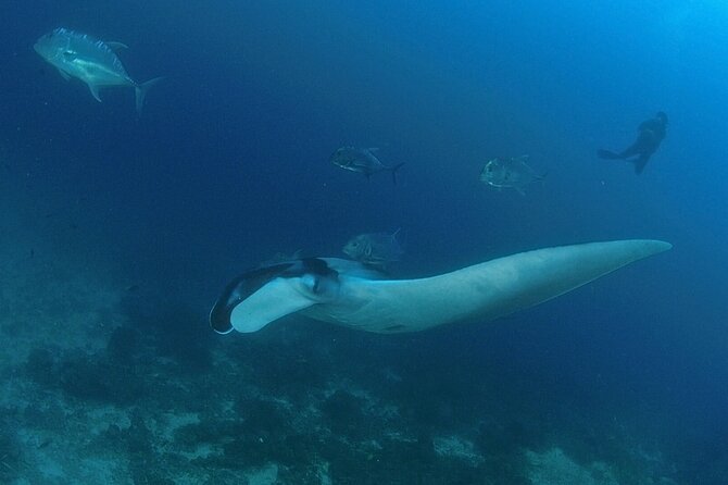 SCUBA Diving tour Racha and Coral islands full day tour - Price and what you truly get for about $50