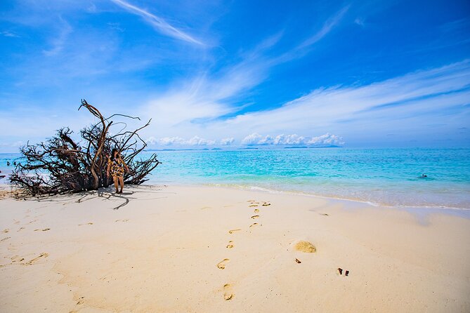 Sea Breeze Calm You On Phi Phi Islands Tour From Krabi - Snorkeling tips that match this tour’s setup