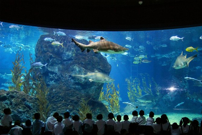 SEA LIFE & Madame Tussauds: Ultimate Bangkok Combo Ticket - Price and Value: What $55.12 Gets You (and Why Bundles Matter)