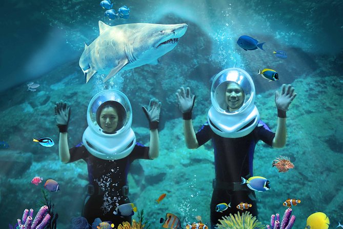SEA LIFE & Madame Tussauds: Ultimate Bangkok Combo Ticket - Stop 2: SEA LIFE Bangkok Ocean World (Thousands of Marine Animals and Ocean-Level Wonder)
