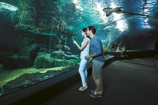 SEA LIFE & Madame Tussauds: Ultimate Bangkok Combo Ticket - Where This Combo Fits Best (Families, Photo Lovers, and Indoors-First Days)