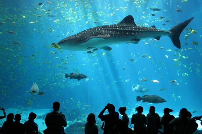 SEA LIFE Ocean World at Bangkok Admission Ticket - Key things to know before you go