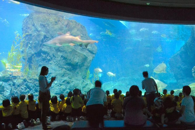 SEA LIFE Ocean World at Bangkok Admission Ticket - Shark Walk and glass tunnels: why the design matters