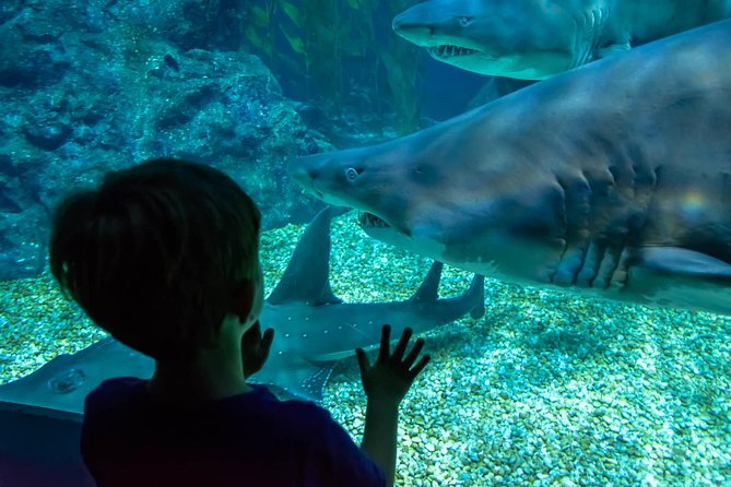SEA LIFE Ocean World at Bangkok Admission Ticket - Timing your visit in Bangkok: when to go and how to plan the day