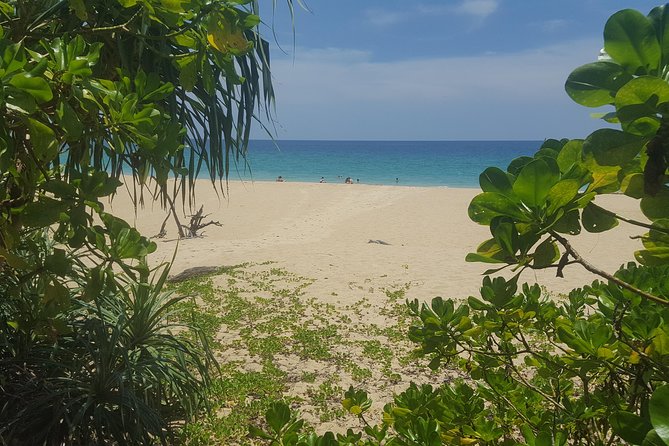 Shoreline Cruise and Secluded Beach - Price and value: what you’re paying for at about $100.43