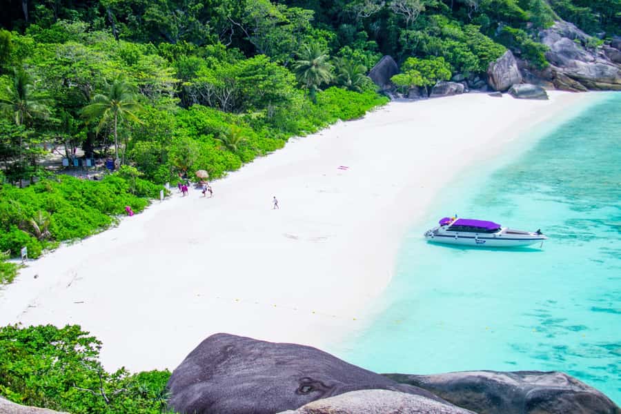 Similan Island Snorkeling Crystal Waters & Marine Life - Price and Logistics: Does $131 Per Person Make Sense?