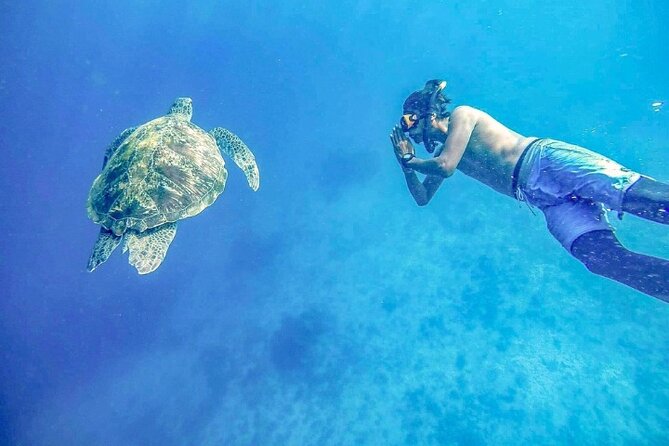 Similan Islands Day Tour from Phuket and Khaolak - Snorkeling at Ko Bangu and Ko 7: how to get the most from short water sessions