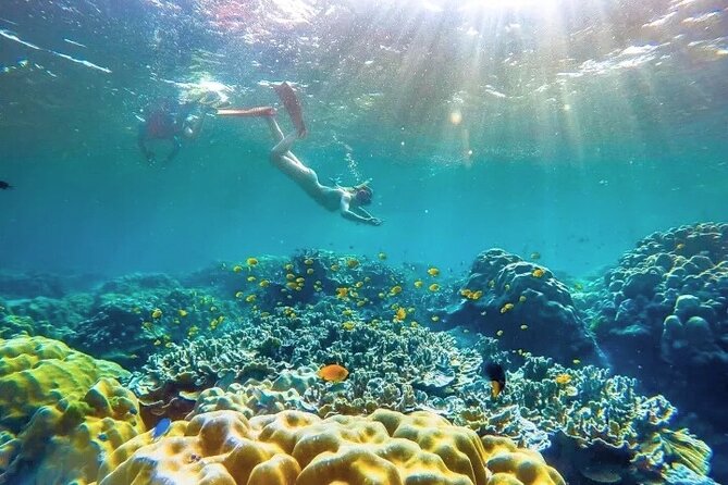 Similan Islands Day Tour from Phuket and Khaolak - Getting the best value: price, included items, and the park fee