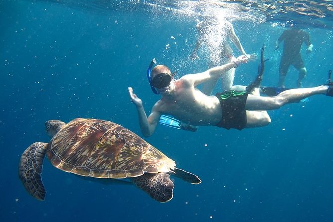 Similan Islands Day Trip by Speedboat From Phuket - Key Takeaways Before You Go
