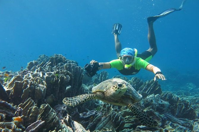 Similan Islands Day Trip by Speedboat From Phuket - Miang Island (No. 4): Lunch, Beach Relaxation, and More Island Time