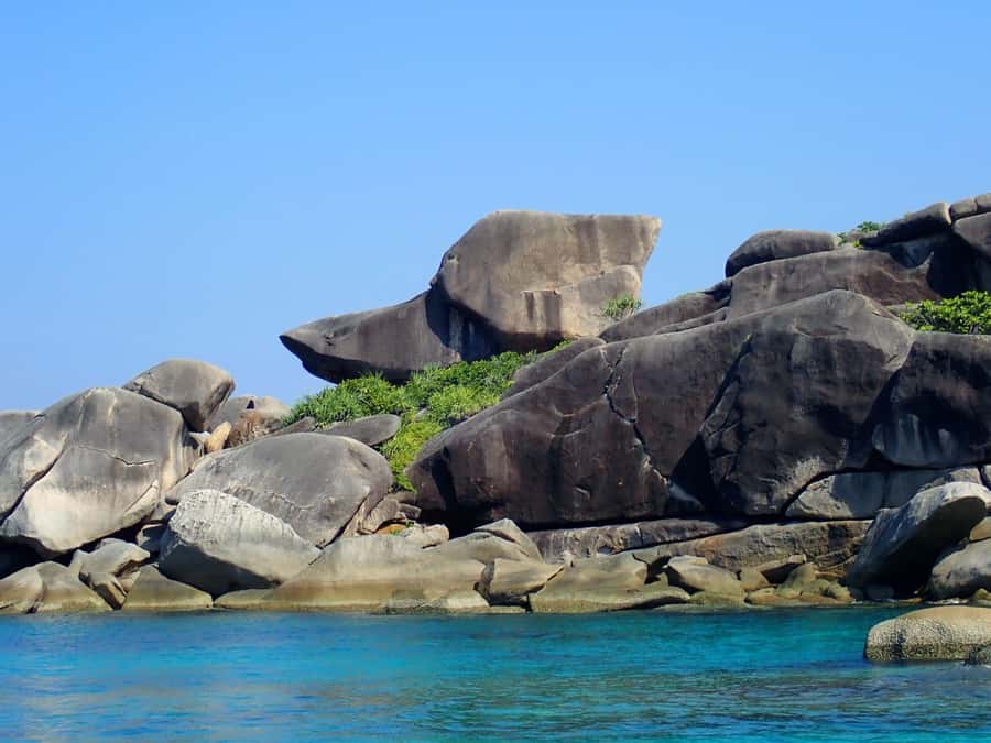 Similan Islands Early-Bird Tour From Phuket and Khao Lak! - Food, snacks, and what’s actually included for your money
