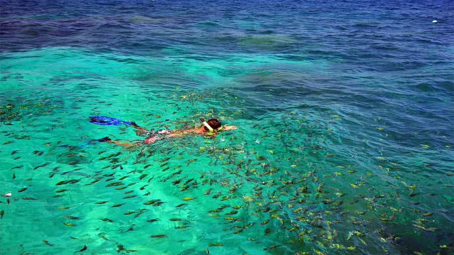 Similan Islands Early-Bird Tour From Phuket and Khao Lak! - Phuket vs Khao Lak pickups: travel time really changes the day