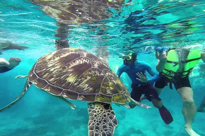 Similan Islands Full-Day Tour from Phuket with Lunch (SHA Plus) - Door-to-door pickup and the 8-hour day plan (what to expect)