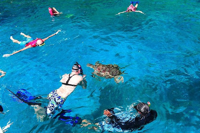Similan Islands One Day Tour From Khao Lak - Stop 1: Ko Miang for Walking, Snorkeling, and the Thai Buffet Lunch