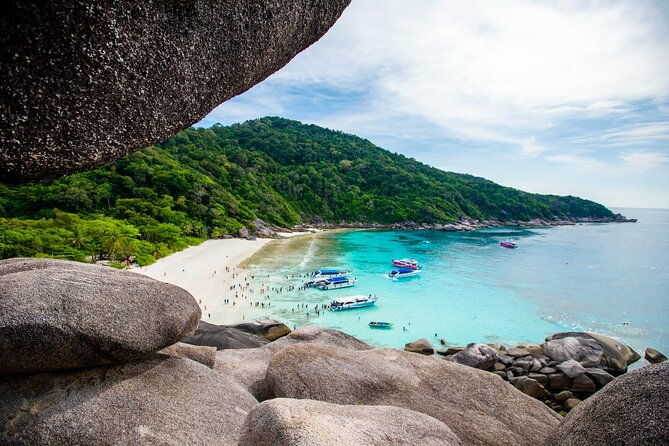 Similan Islands Snorkeling Trip from Krabi - Bangu Island (Koh 9): Snorkel Time with Jellyfish in the Mix