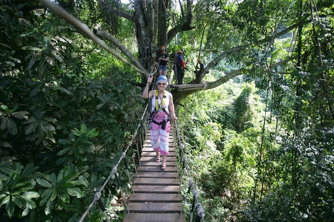Sky Hawk Zipline Chiang Mai – Ultimate Canopy Adventure - Sky Hawk Zipline Chiang Mai: what the canopy adventure is really like