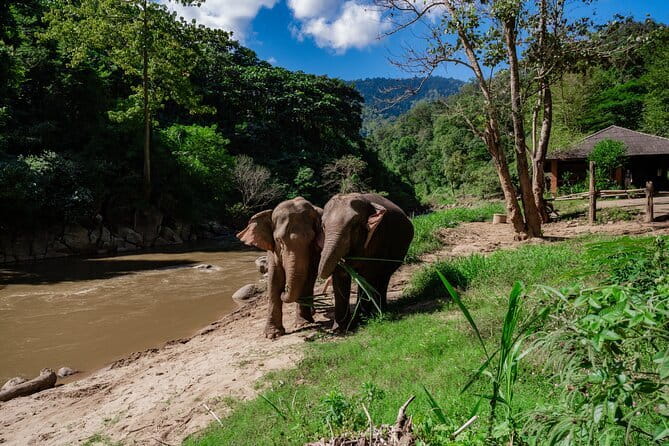 Sky Hawk Zipline Chiang Mai – Ultimate Canopy Adventure - Getting there and not wasting your day: shared transfers, schedules, and timing