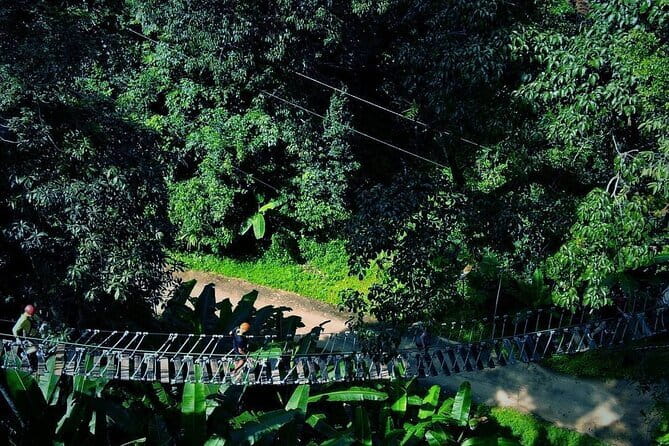 Sky Hawk Zipline Chiang Mai – Ultimate Canopy Adventure - Choosing your zipline package: Bronze, Silver, and the “right-for-you” level
