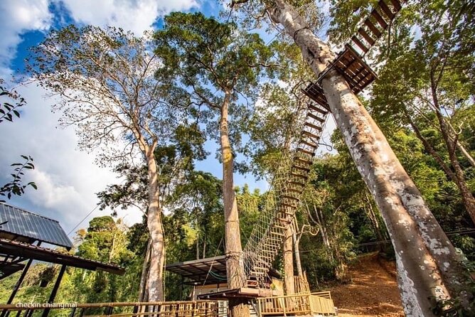 Sky Hawk Zipline Experience in Chiang Mai - Ziplines and Treetop Platforms: The Course That Keeps Changing
