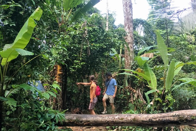 Small-Group Jungle Hiking Excursion in Khao Phra Teaw Park - Phuket Jungle Hike at Khao Phra Thaeo: Why this forest visit feels different