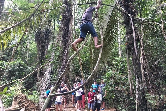 Small-Group Jungle Hiking Excursion in Khao Phra Teaw Park - Waterfall time: Tonsai and Bang Pae swims that actually cool you off