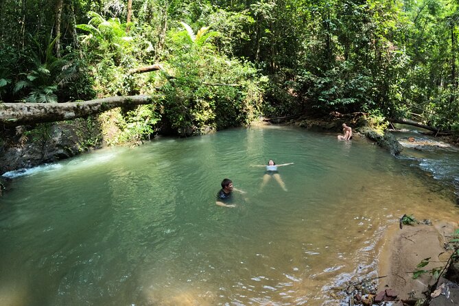 Small-Group Jungle Hiking Excursion in Khao Phra Teaw Park - Your guide and the jungle lesson plan: what you’ll notice as you hike
