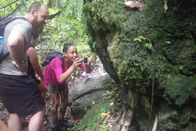 Small-Group Jungle Hiking Excursion in Khao Phra Teaw Park - How long is this really, and how hard is it day to day?