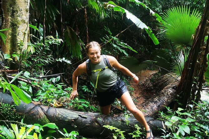 Small-Group Jungle Hiking Excursion in Khao Phra Teaw Park - Value check: what $78.23 actually buys you