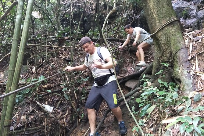 Small-Group Jungle Hiking Excursion in Khao Phra Teaw Park - Getting there: 9:00am start and pickup on Phuket’s major beaches