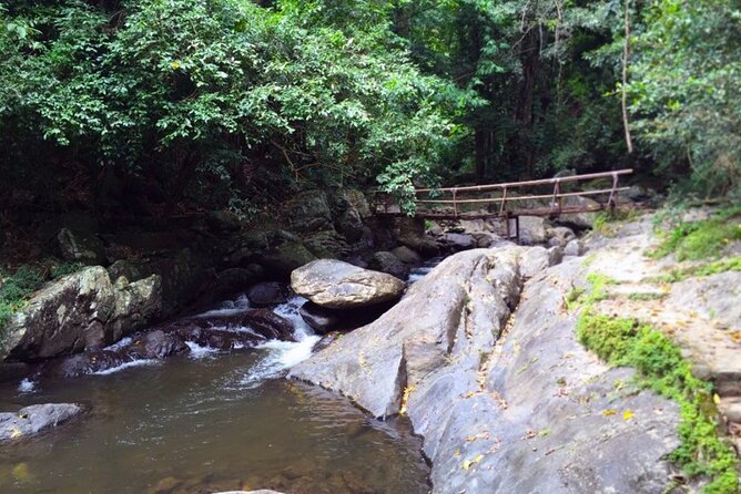 Small-Group Pala U Waterfall Jungle Tour from Hua Hin - Wildlife on this route: what to look for without getting reckless