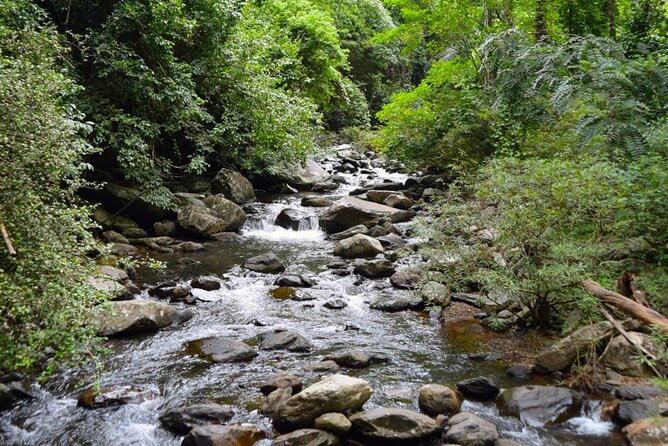 Small-Group Pala U Waterfall Jungle Tour from Hua Hin - The Huay Mongkol Temple to lunch to waterfall flow