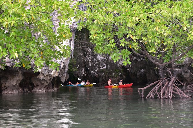 Small-Group Sea Kayaking in Ao Thalane Bay and Hong Island from Krabi - The 9:00 am rhythm: pickup, water breaks, and lunch timing
