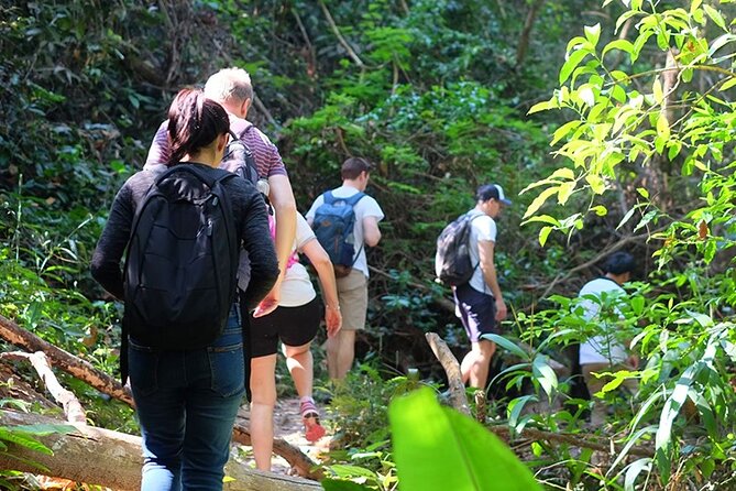 Small Group : Trekking Trip in Chiang Mai (Doi Suthep Area) with Market Tour - Doi Suthep Temple: The Cultural Stop Before the Trek