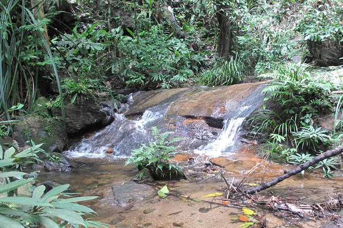 Small Group : Trekking Trip in Chiang Mai (Doi Suthep Area) with Market Tour - The Real Payoff: Downhill Trek to Monthathan (Mon Da Than) Waterfall