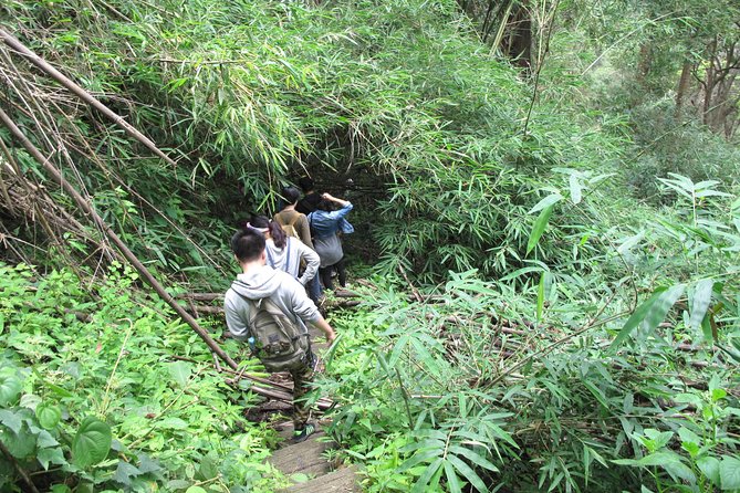 Small Group : Trekking Trip in Chiang Mai (Doi Suthep Area) with Market Tour - Price Check: Is $62.91 Good Value Here?