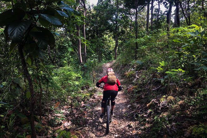 Smoke on the Water Trail Mountain Biking Tour Chiang Mai - Food, drinks, and pacing: why included lunch changes the day