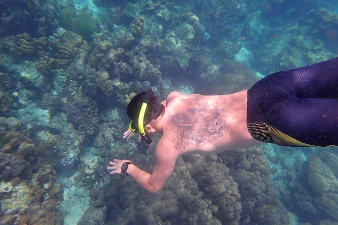 Snorkel Adventure Sea Tour to Koh Rok and Koh Haa from Koh Lanta - Koh Rok Nai beach time and lunch: relaxing, but plan for a crowd vibe