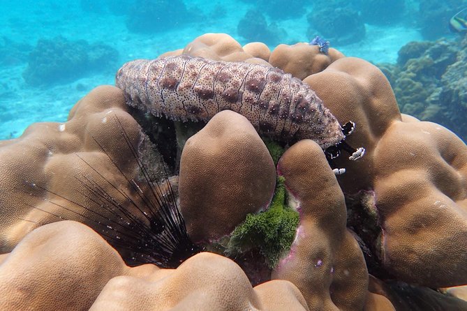 Snorkel Adventure Sea Tour to Koh Rok and Koh Haa from Koh Lanta - Boat comfort: what can make the ride easy or hard