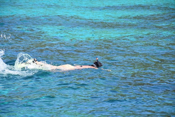 Snorkel Adventure Sea Tour to Koh Rok and Koh Haa from Koh Lanta - Guides and crew: the difference between seeing fish and actually enjoying it