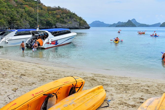 Snorkel and Kayak Tour to Angthong Marine Park by Speedboat from Koh Samui - What you’re paying for: $62.40 value vs. the extra fees