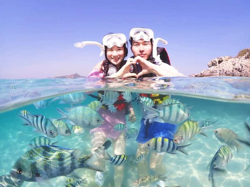Snorkel & Chill: Nemo Island Trip from Pattaya - Key things to know before you go (Nemo Island, Pattaya)