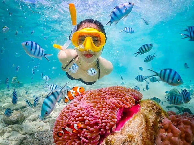 Snorkel & Chill: Nemo Island Trip from Pattaya - On the water at Sattahip: Samesan snorkeling and what you’ll actually see