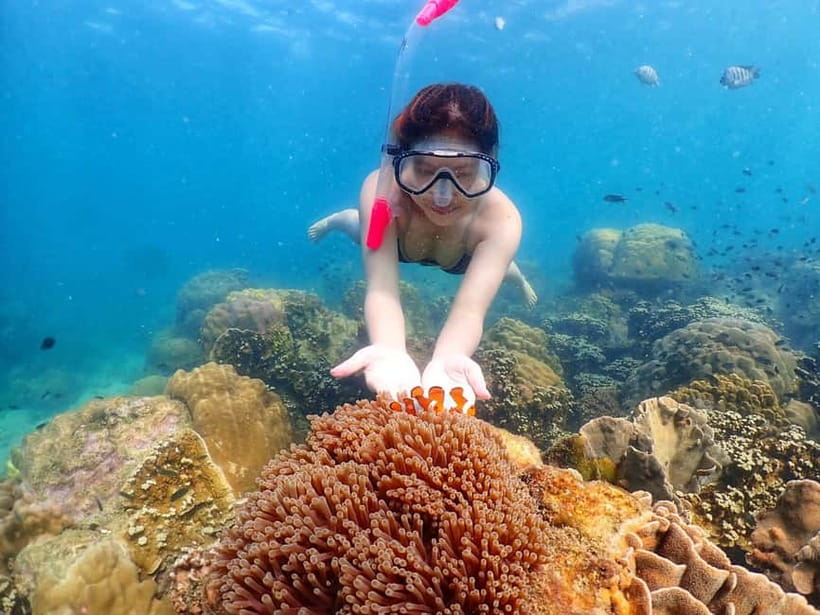 Snorkel & Chill: Nemo Island Trip from Pattaya - Gear, mouthpiece, and safety: the details that prevent a miserable day