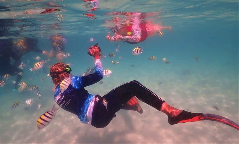 Snorkel & Chill: Nemo Island Trip from Pattaya - Price and value: why $41 can feel like a bargain here