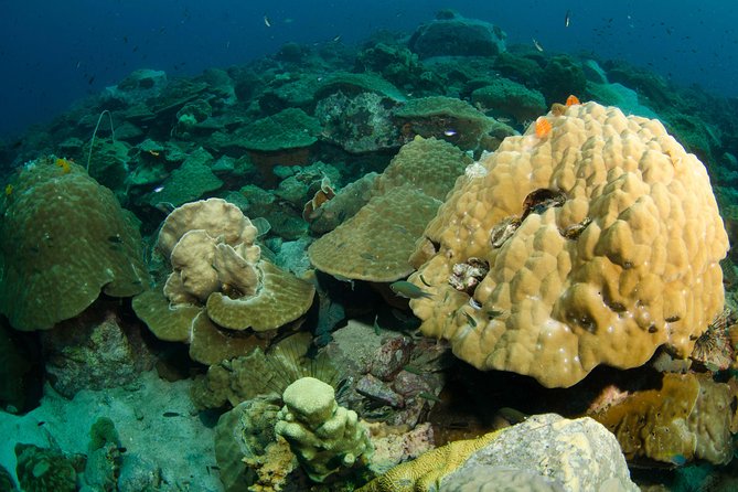 Snorkeling Adventure at Koh Chang – Departing from Koh Chang - Price and what $32.60 really buys you