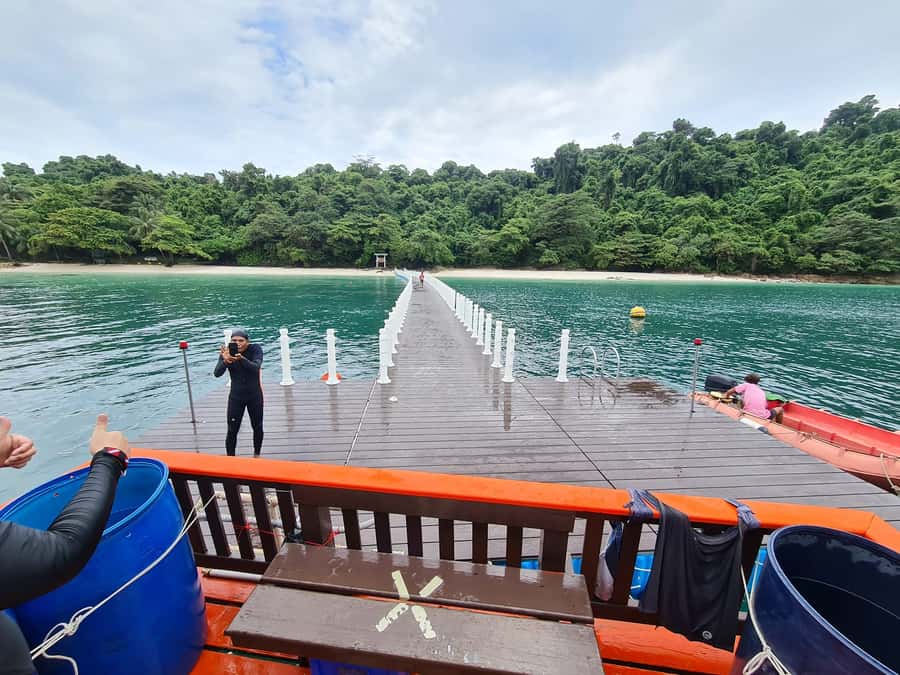Snorkeling course, become a confident snorkeler. - Lunch, snacks, and drinks: the part you’ll appreciate more than you expect