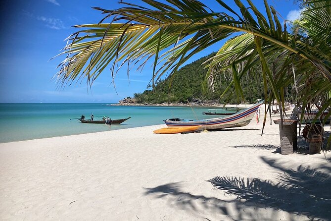 Snorkeling Day around Koh Phangan - Price and logistics: what $56.93 really covers