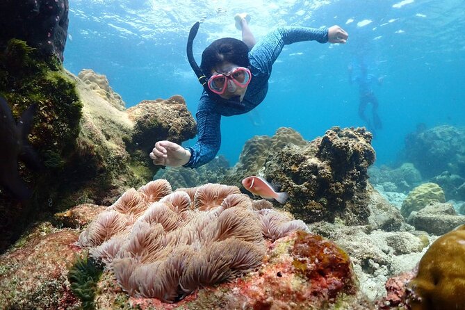 Snorkeling Full Day Experience from Bangkok - Key highlights worth caring about